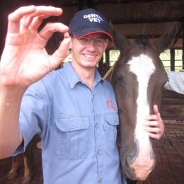 Welcome to Equine Dental Vets