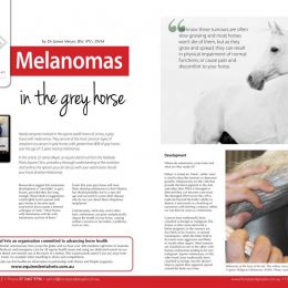 Read published articles from Vet Professionals