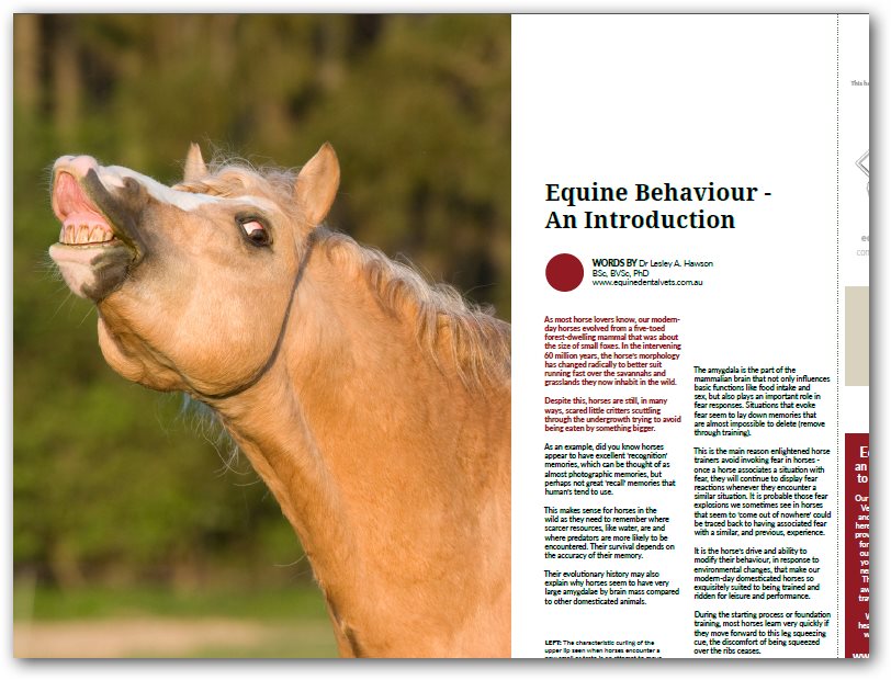 Equine Behaviour