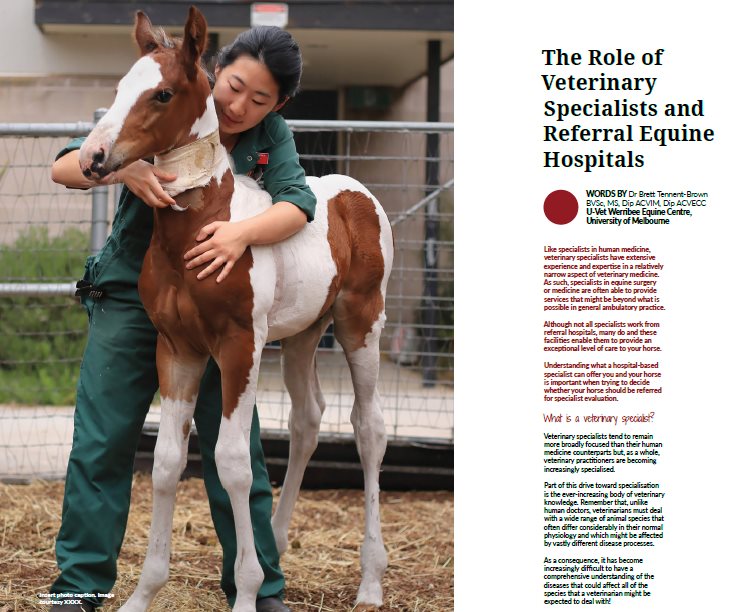 The Role of Veterinary Specialists and Referral Equine Hospitals