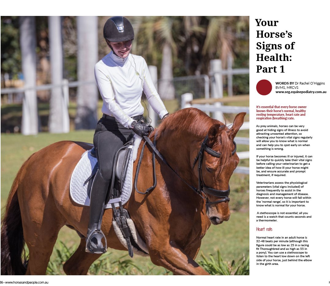 Your Horse's Signs of Health - Part 1