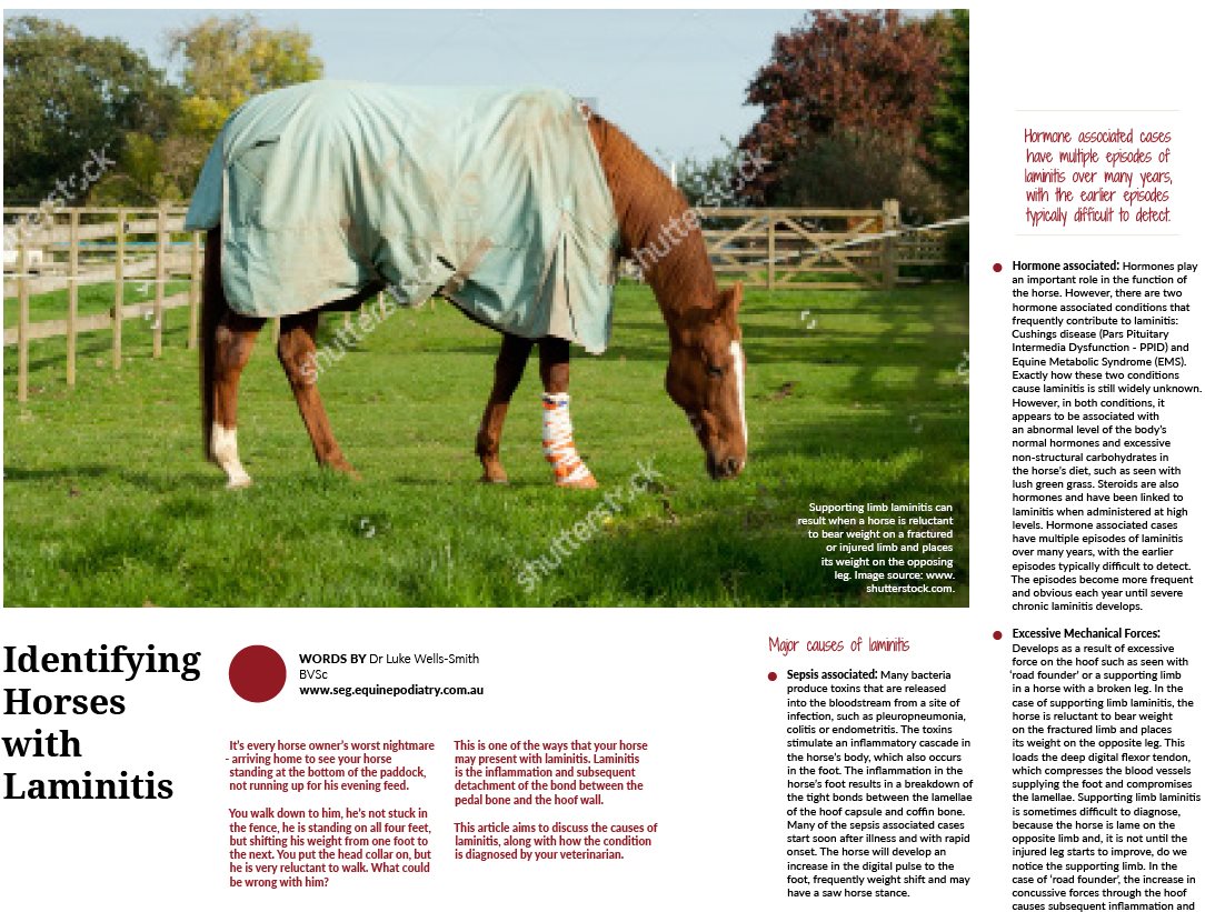 Identifying Horses with Laminitis